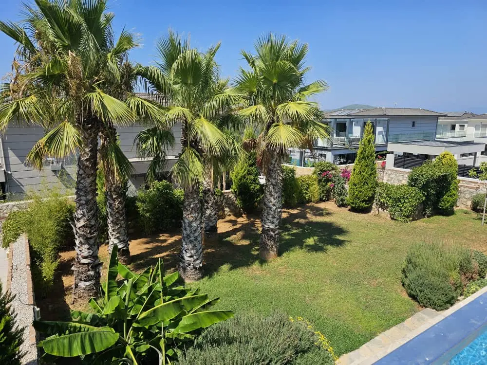 Garden area